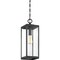 Quoizel Westover 1-Light Earth Black Mini Pendant WVR1507EK - alternate 5